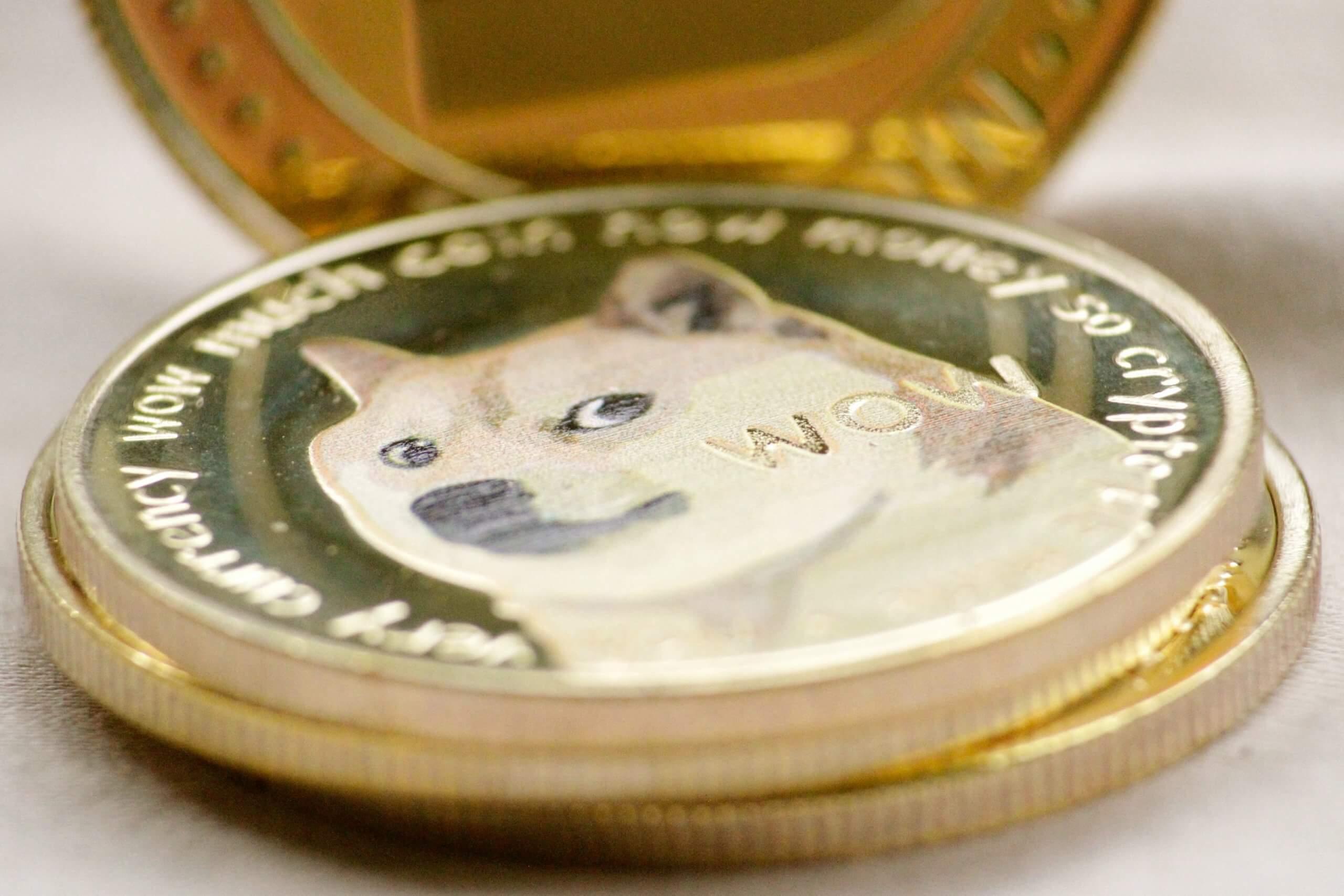 Assessing Dogecoin’s Sustainability: Environmental Impact Revealed