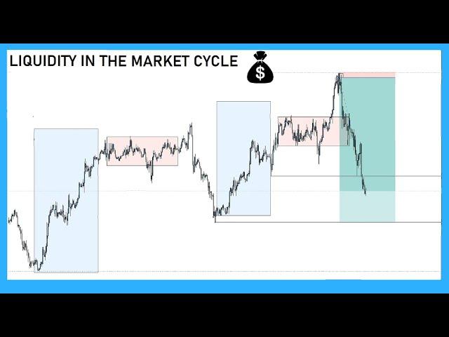 The Impact of Market Liquidity on Cryptocurrency Analysis