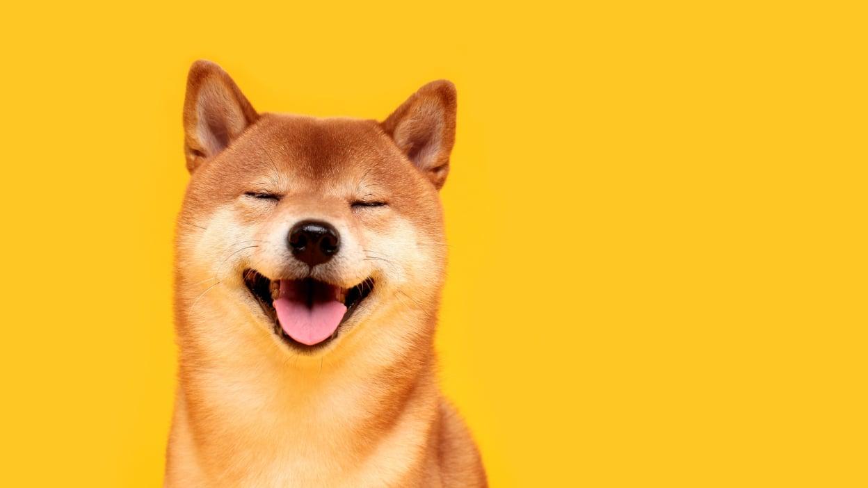 Dogecoin: The Entry Point for New Crypto Investors