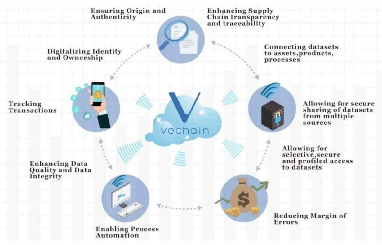 Harnessing Proof of Authority in Cryptocurrency Networks