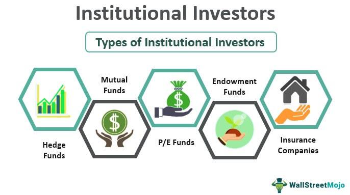 Evaluating Institutional Investment’s Influence on Altcoin Markets