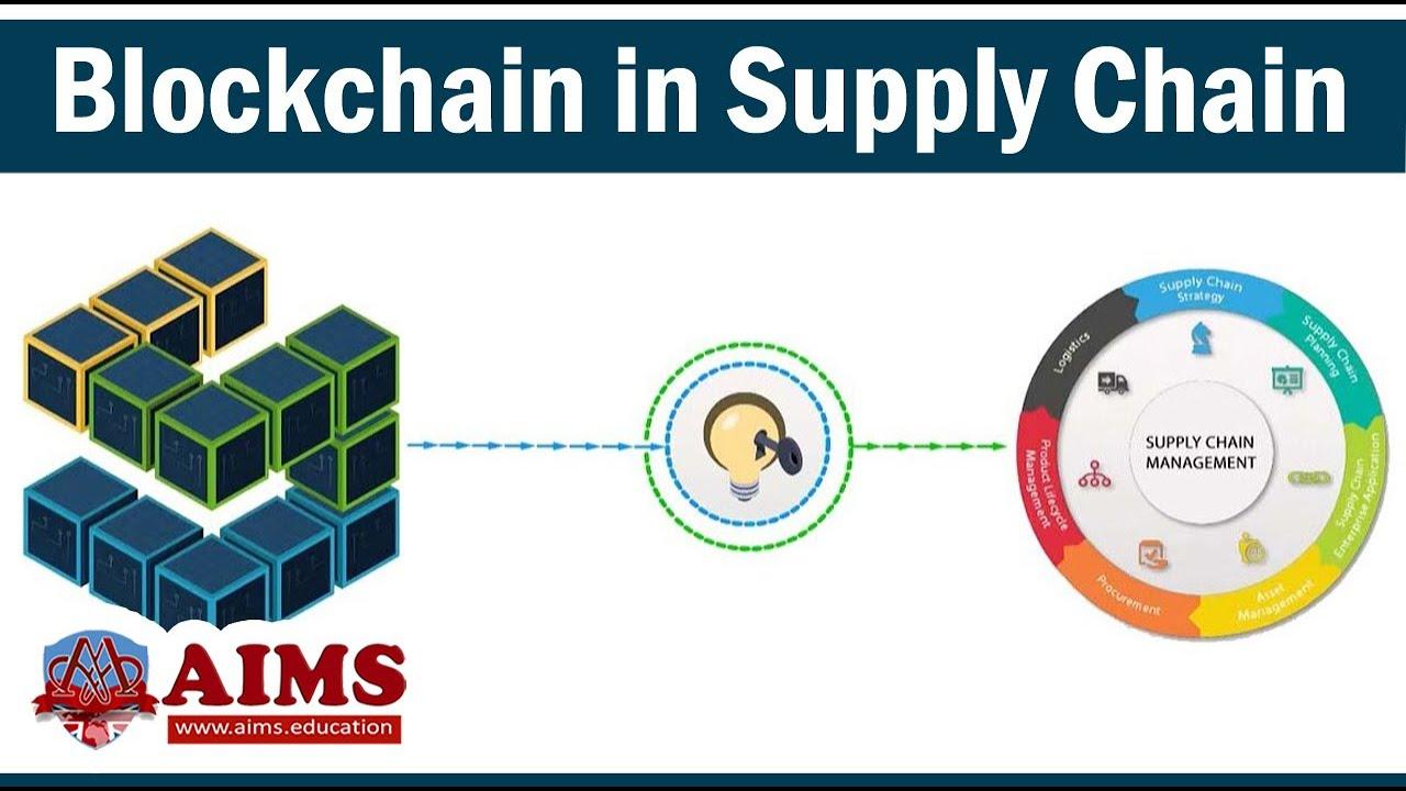 Transforming Traditions: Blockchain’s Role in Supply Chain Evolution