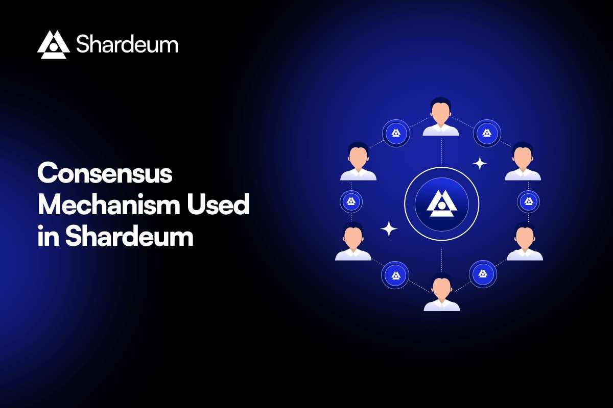 Analyzing the Influence of Consensus Mechanisms on Cryptocurrency Networks